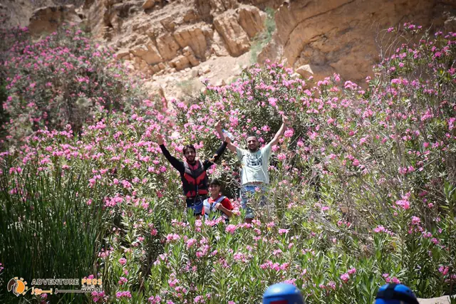 Wadi Shgeifat — trip photo